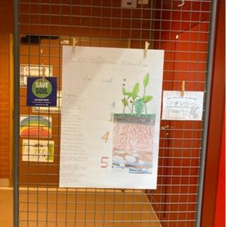 What a beautiful display of #SauvonsnosSols #SaveSoil posters made by the students of the Primary 4 French Class at the European School of Brussels 3, in Belgium, with the support of their teacher C De Jonckheere. 😍

Well done to all of your for raising awareness about soil. Let's ensure we have policies to preserve the organic content in our soil! #ExhibitSaveSoil