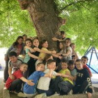 Hugging tree in the school yard 