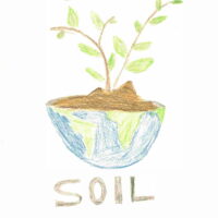 SAVE SOIL AMSS (1) (1)-02 