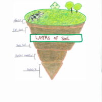 SAVE SOIL AMSS (1) (1)-17 