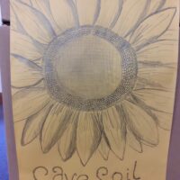 Save Soil Sunflower 