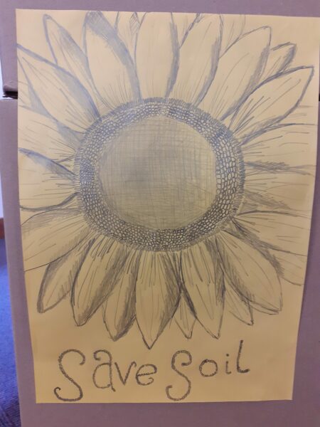 Save Soil Sunflower
