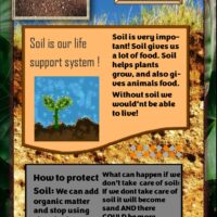 A poster to save soil ~ Norge / Norway