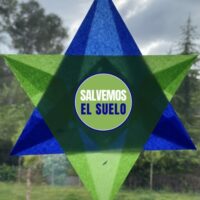 Save Soil Window Star (6 Pointed)