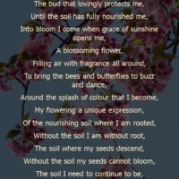 SaveSoilPoems_Exhibit_Poem3_flower 