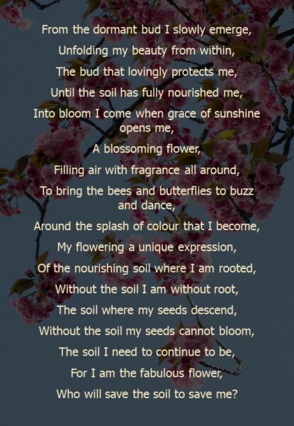 SaveSoilPoems_Exhibit_Poem3_flower