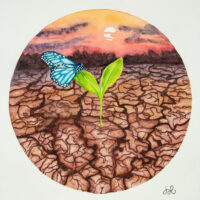 Save-the-soil_DILA 