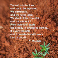 TheSoil_Poesia_02_conNome 