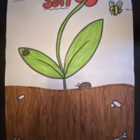 Save our soil!!